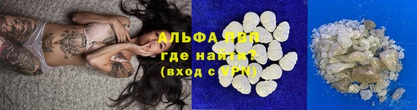 спиды Гусев