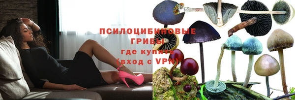 тгк Гусь-Хрустальный