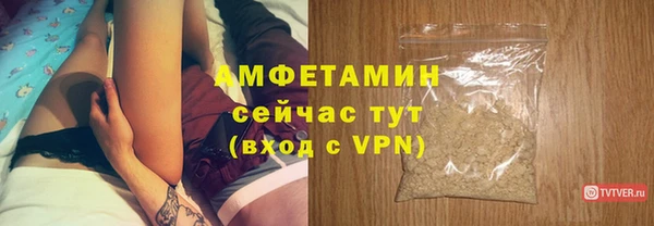 спиды Гусев