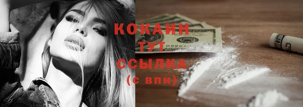спиды Гусев