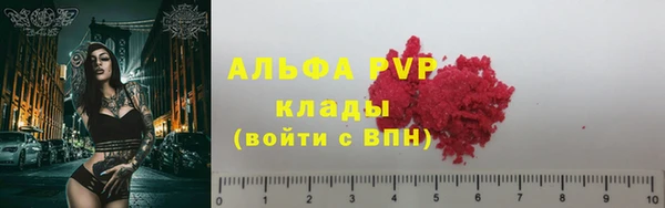 спиды Гусев