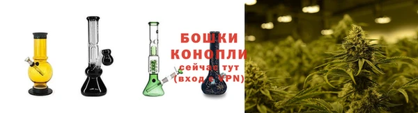 спиды Гусев