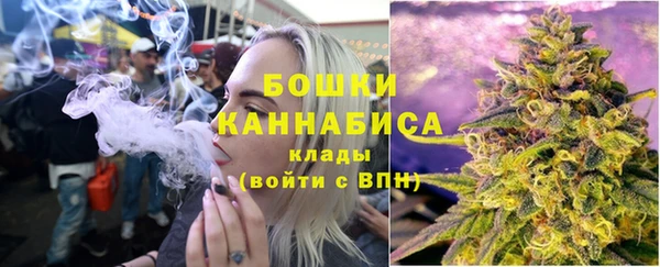 тгк Гусь-Хрустальный