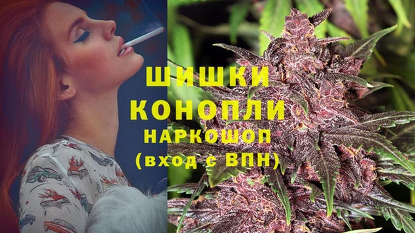 спиды Гусев