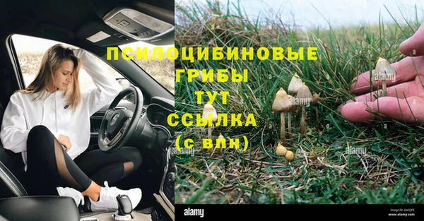 кристаллы Гусиноозёрск