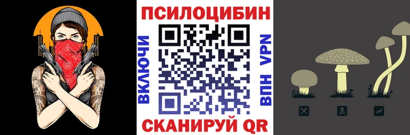 Псилоцибиновые грибы GOLDEN TEACHER  Касли 
