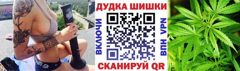купить   Касли  Канабис сатива 
